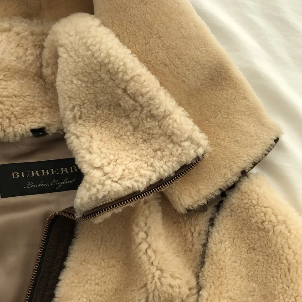 Burberry Runway AW18 Double Collar Shearling Aviator Jacket - Picture 6 of 16